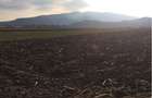 Teren intravilan de 3000 mp, în Alba Iulia - 4