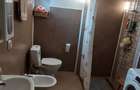 Vand casa cu gradina - 3