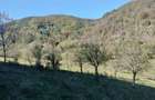 Parcela teren intravilan Vata de Sus, Judetul Hunedoara - 6