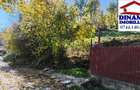 3600 mp teren intravilan, sat Bistrita, 12 Euro mp - 2