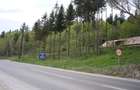 Teren Construcții de 3450 mp, în Bușteni - 5