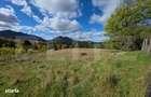 Teren 1,5 hectare - la Piatra Fantanele - 4