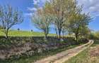 Teren Construcții de 11600 mp, în Poiana Mărului - 22