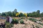 Casă individuală cu 3 camere cu Teren 1144 Mp în Zimandu Nou - 7
