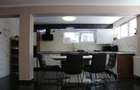 Vila cu sala de fitness, sauna, jacuzzi, zona de top - Andrei Muresanu - 17