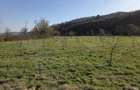 Teren intravilan com. Petris - 5