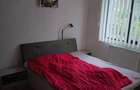 DUPLEX parter etaj si pod acces auto teren 306 mp zona Dumbravita - 5