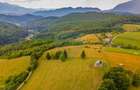 Teren Construcții de 11600 mp, în Poiana Mărului - 4