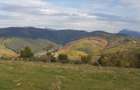 Teren 10.000 mp- Zona Montana Salbatica (Valea Mare Prava?-AG) , Panorama Iezer-Papu?a - 3