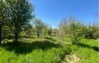 Teren Gradinari Giurgiu - 4
