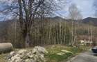 Vand teren intravilan (500 mp) in Poiana Marului din CS pe strada principala asfaltata, pozitie foarte buna - 2