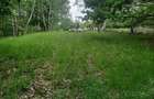 Terem de vanzare Setea Potoc 13.000 m2 - 6