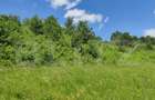 Teren extravilan de 28500 mp, în Gușterița - 7