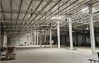 Spatiu Industrial - 2700 mp - Productie - Depozitare - Office - 1