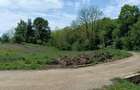 intravilan Tiparesti, relaxare aproape de padure - 5