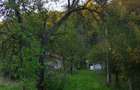 Vand teren intravilan si casa in orasul Baia de Arama - 8