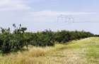 Parcele Teren extravilan Livada si Pasune Lunca Corbului Arges - 8