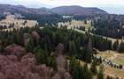 Teren intravilan de 1000 mp, în Poiana Brașov - 5