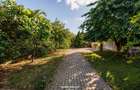 COMISION 0% I Casă de vînzare în Timișoara - zona Telegrafului. - 27