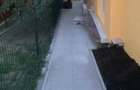 Casă în Bucium - 2