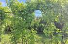 Casă cu 5 camere cu Teren 4200 Mp în Central - 5