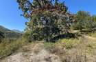 Teren intravilan Buru | ideal agrement, activita?i outdoor - 4