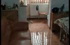 Apartament cu 2 camere decomandat în Freidorf - 3