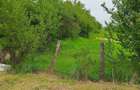 Vand teren intravilan - 6