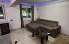 Apartament cu 2 camere semidecomandat în Pantelimon - 4