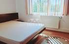 Apartament cu 3 camere semidecomandat în Peneș Curcanul - 8