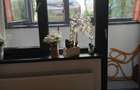 Apartament 2 camere cartier Brancusi - 7