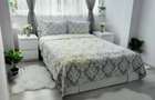Apartament cu 3 camere semidecomandat în Timișoara - 2