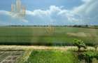 2-Decomandate-Casa-Duplex-55mp-Utili-Curte-Privata-Mobilat-Utilat-Parcare-Pod - 9