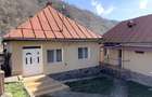 PROPRIETATE LA MUNTE | 2 CASE RENOVATE | MALAIA JUD. VALCEA - 19