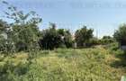 Casă cu 5 camere cu Teren 828 Mp în Cernica - 4