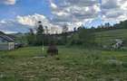 Teren Construcții intravilan de 2000 mp, în Călinești - 1