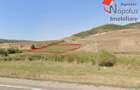 Teren 2.700 mp, plan, aproape de A3, ideal investitie Sardu - 2
