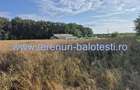 Teren de 350 mp, în Balotești - 13