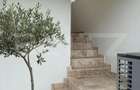 Casa tip P+M, 220 mp,3600 mp teren, comuna Paulesti - 9