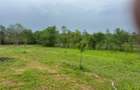 Teren Construcții intravilan de 1050 mp, în Petrovaselo - 1