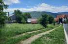 Teren de vanzare intravilan Valea Vie ( Dimitre Cantemir )1000 mp , Cod 147432 - 2