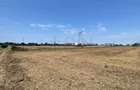 Teren Construcții intravilan de 4724 mp, în Sud-Est - 5