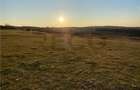 RECO Teren intravilan in Saldabagiu De Munte 2000mp - 6