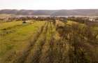 RECO Teren intravilan de vanzare in Betfia locatie linistita, ideal - 4