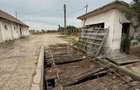Ferma de Vanzare in judetul Timis, la nord est de Timisoara, 10ha 6 ha - 11