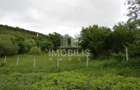 Teren de 994 mp, în Budiu Mic - 5