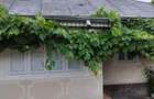 Vand casa in com. Soveja, jud. Vrancea - 3