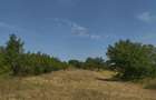 Teren 3400 comuna Daia la 200 m de DN5 Giurgiu-Bucuresti - 4