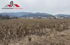 Teren intravilan de vanzare pentru Blocuri Alba - Micesti partea stang - 3