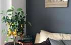 Apartament cu 3 camere semidecomandat în Titulescu - 7